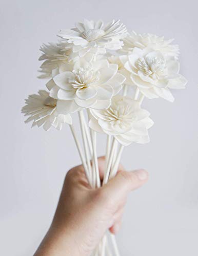 10 Mix Dahlia Daisy Sola Flower Reed Diffuser Set
