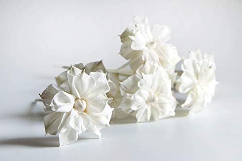 10 Sola Flower Reed Diffuser for Natural Home Fragrance