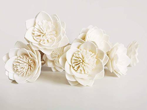 Decorative Dahlia 2 Inch Sola Flower Diffuser Set of 10