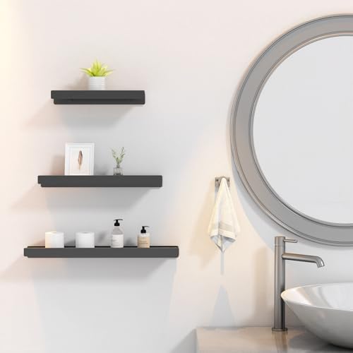 Danpoo Black Floating Metal Wall Shelf 12 Inch