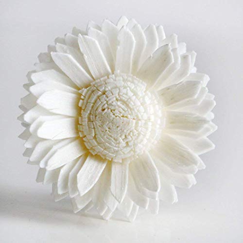 10 Mix Dahlia Daisy Sola Flower Reed Diffuser Set
