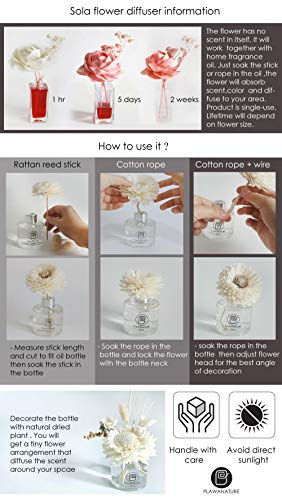 4 White Natural Peony Sola Flower Diffuser Set for Home Fragrance