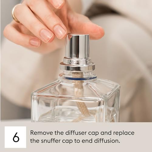Maison Berger Ocean Breeze Fragrance Refill for Lampe Berger Diffuser