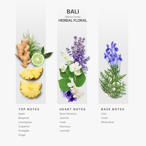 AROMAPLAN Bali Hotel Scent 5 Fl Oz Luxury Diffuser Oil