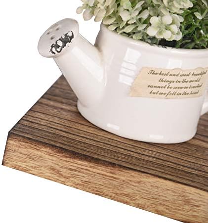 Wood Floating Shelves Set of 4 16 Inch