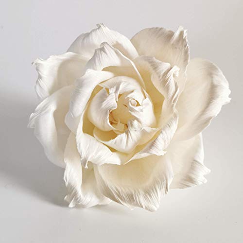 2 Engagement Rose Sola Flower Diffuser Set