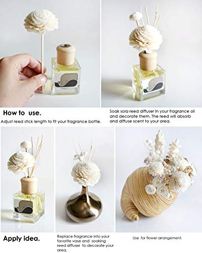 10 Mix Dahlia Daisy Sola Flower Reed Diffuser Set