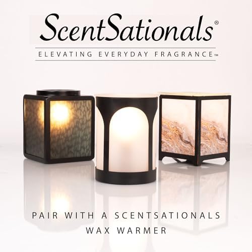 Scentsationals Wax Melts Magic Spell 10oz 24 Cubes