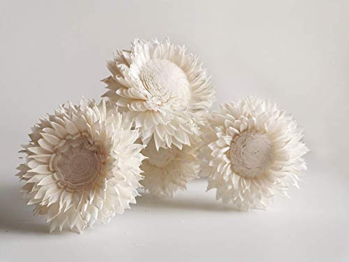 5 White Sunflower 3 Inch Reed Diffuser for Home Fragrance
