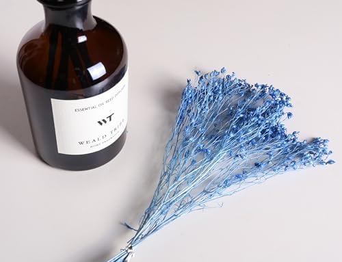 WEALD TRIBE Reed Diffuser Set Cashmere Vanilla Scent