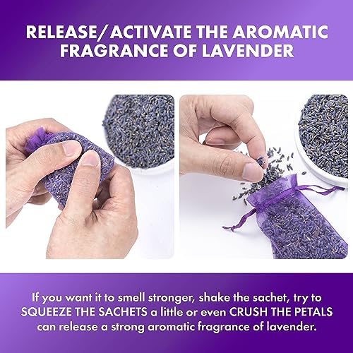 French Lavender Sachets Set of 48 Purple Fresh Fragrance