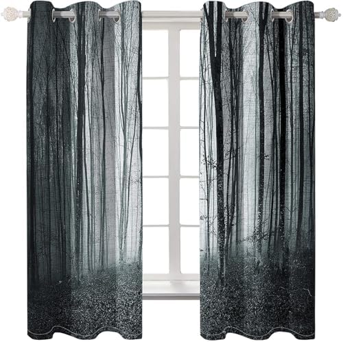 Homxi 2 Panel Blackout Curtain Set for Living Room