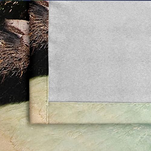 2 Piece Blackout Kitchen Curtains with Coconut Tree Design