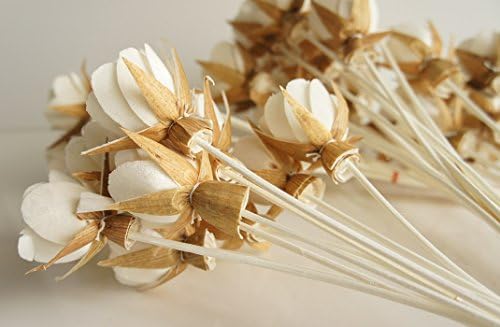 50 Rose Sola Flower Diffuser for Home Fragrance