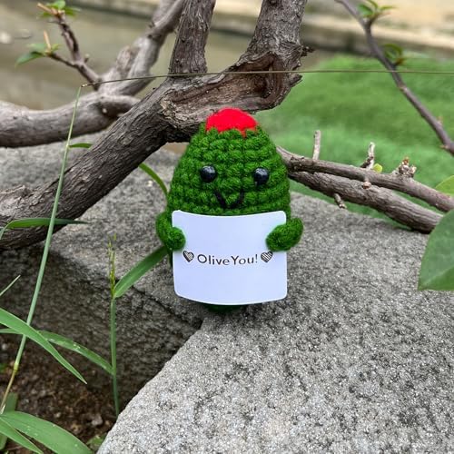 Emotional Support Olive Crochet Desk Decor