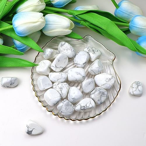 Qinjiejie 09lbs White Howlite Tumbled Stones Set