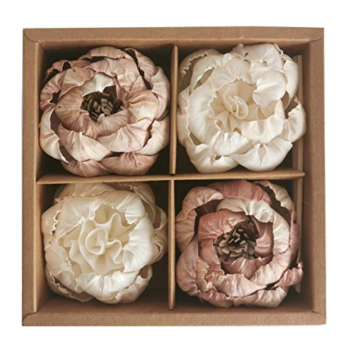 4 White Natural Peony Sola Flower Diffuser Set for Home Fragrance