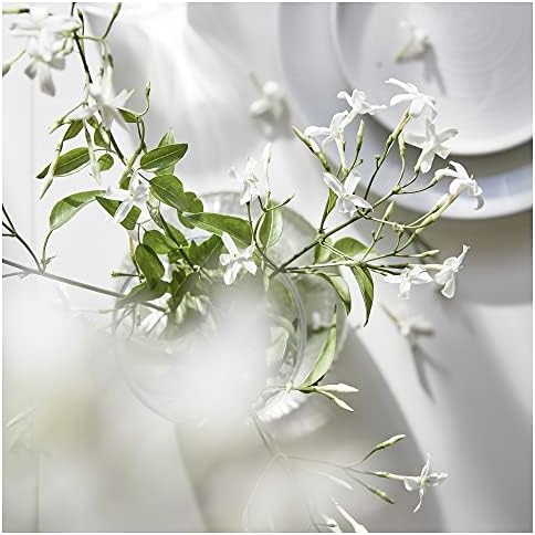 Lugnare Scented Potpourri 90g Jasmine Pink