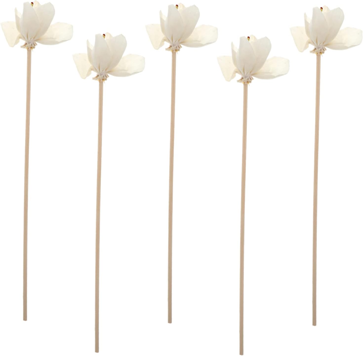 IMIKEYA 5pcs Rattan Sticks Diffuser Accessories