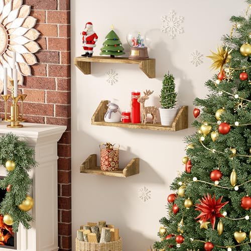 SZQINJI Carbonized Black Floating Shelves Set of 3