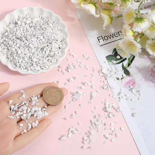 500g Howlite Crystal Chips for Jewelry and Decor