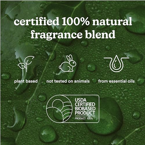 Homedics SereneScent Moroccan Magic Fragrance Oil 120 ml