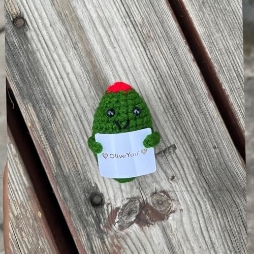 Emotional Support Olive Crochet Desk Decor