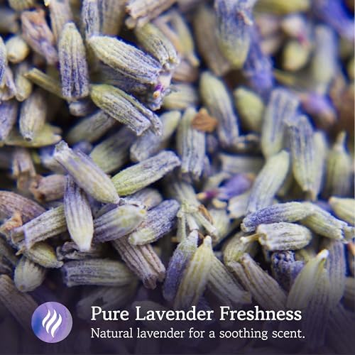 Lavender Sachets for Closets and Drawers - Pack of 20