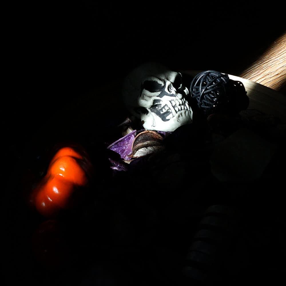 Qingbei Rina Halloween Potpourri Decor Set