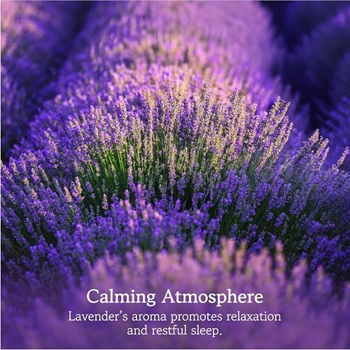 Lavender Sachets for Closets and Drawers - Pack of 20