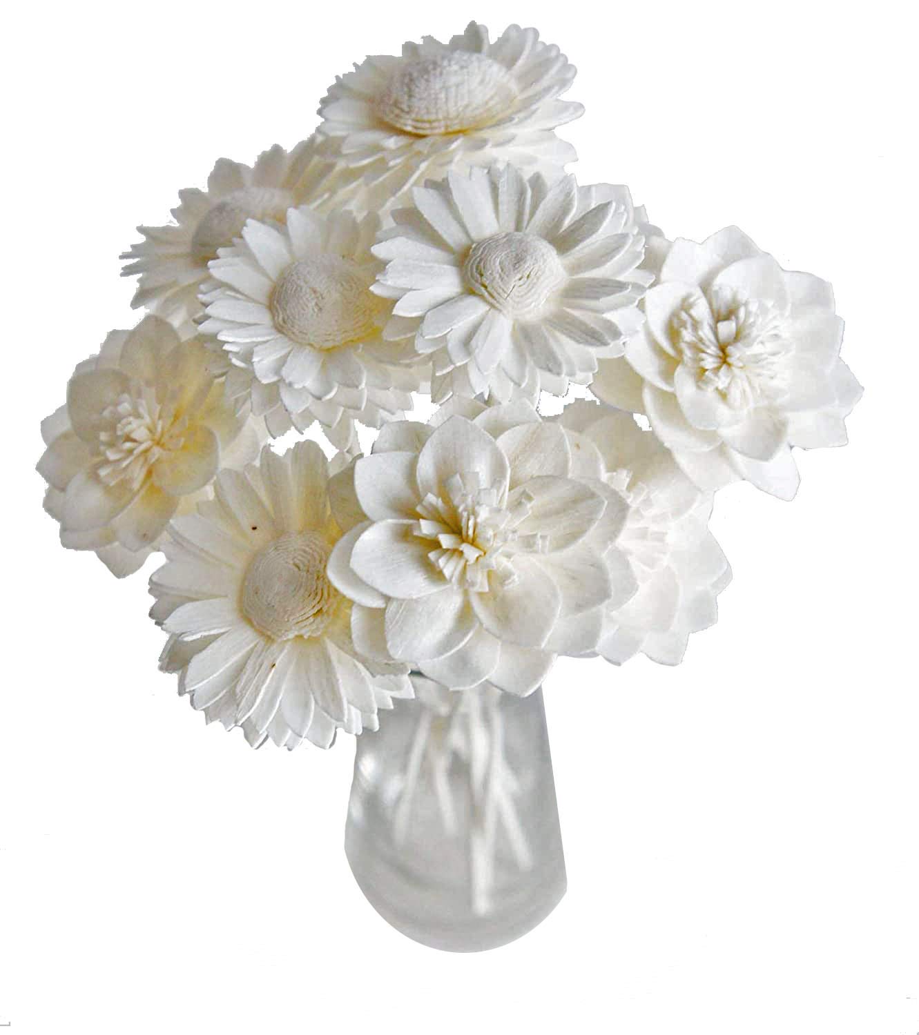 10 Mix Dahlia Daisy Sola Flower Reed Diffuser Set
