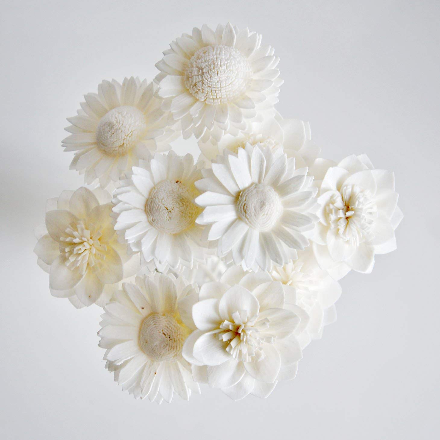 10 Mix Dahlia Daisy Sola Flower Reed Diffuser Set