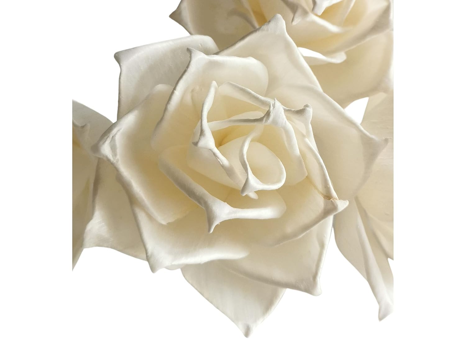 5 Sunset Celebration Rose Sola Flower Reed Diffuser 3 for Home Fragrance