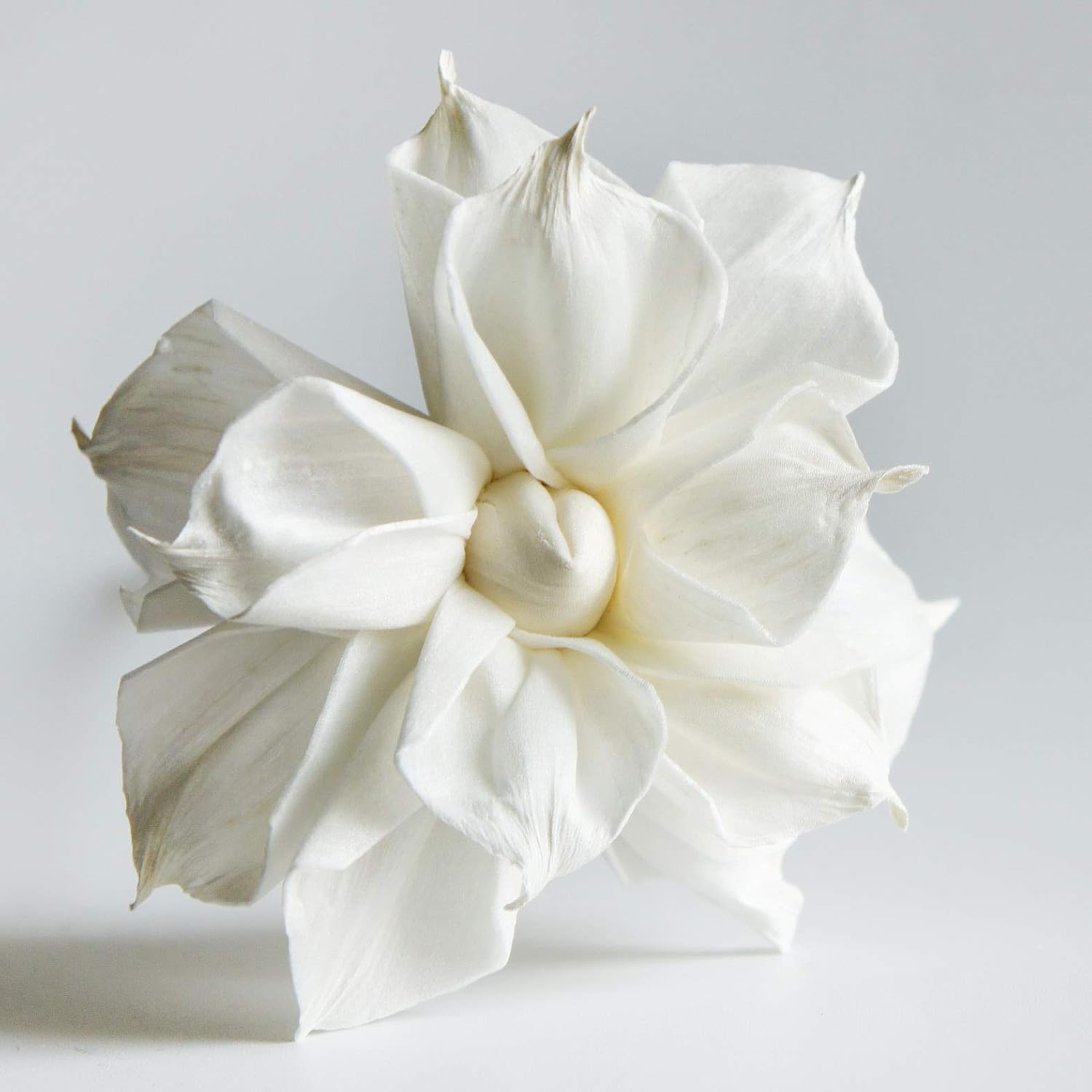 10 Sola Flower Reed Diffuser for Natural Home Fragrance