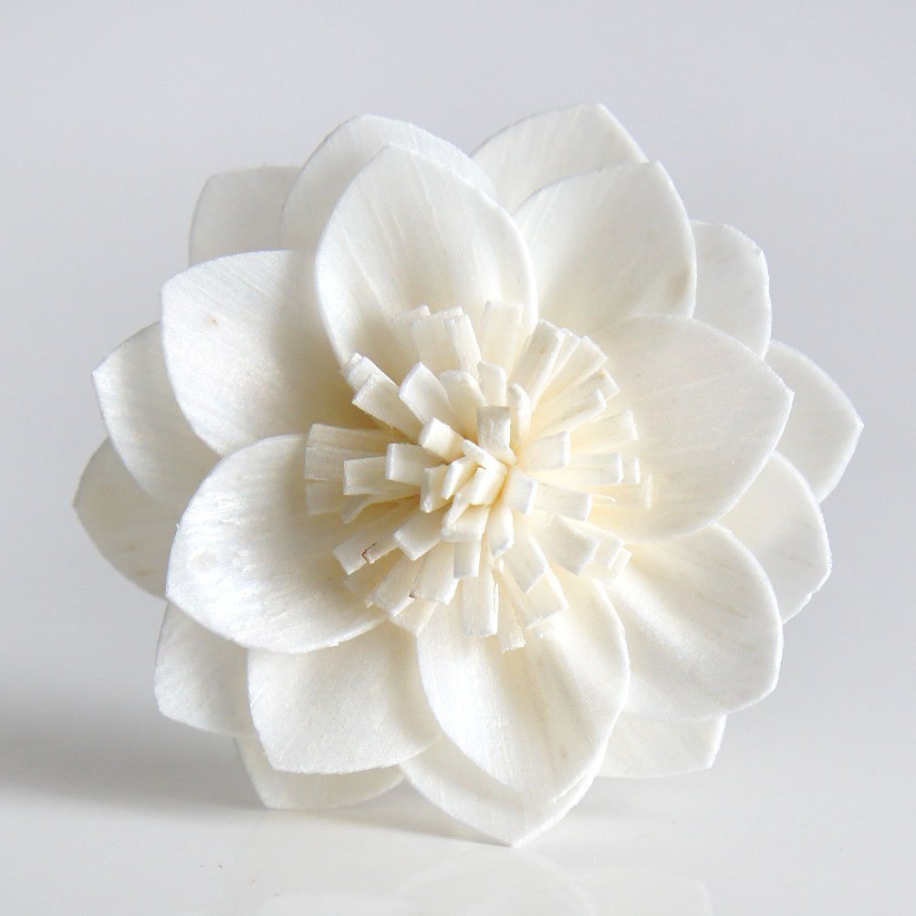 10 Mix Dahlia Daisy Sola Flower Reed Diffuser Set