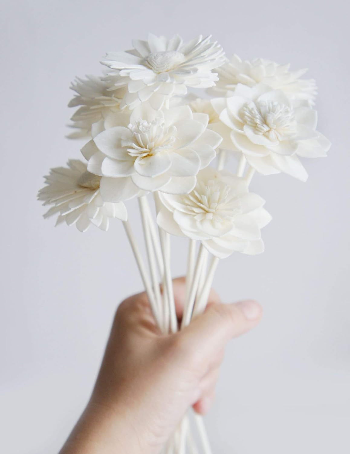 10 Mix Dahlia Daisy Sola Flower Reed Diffuser Set