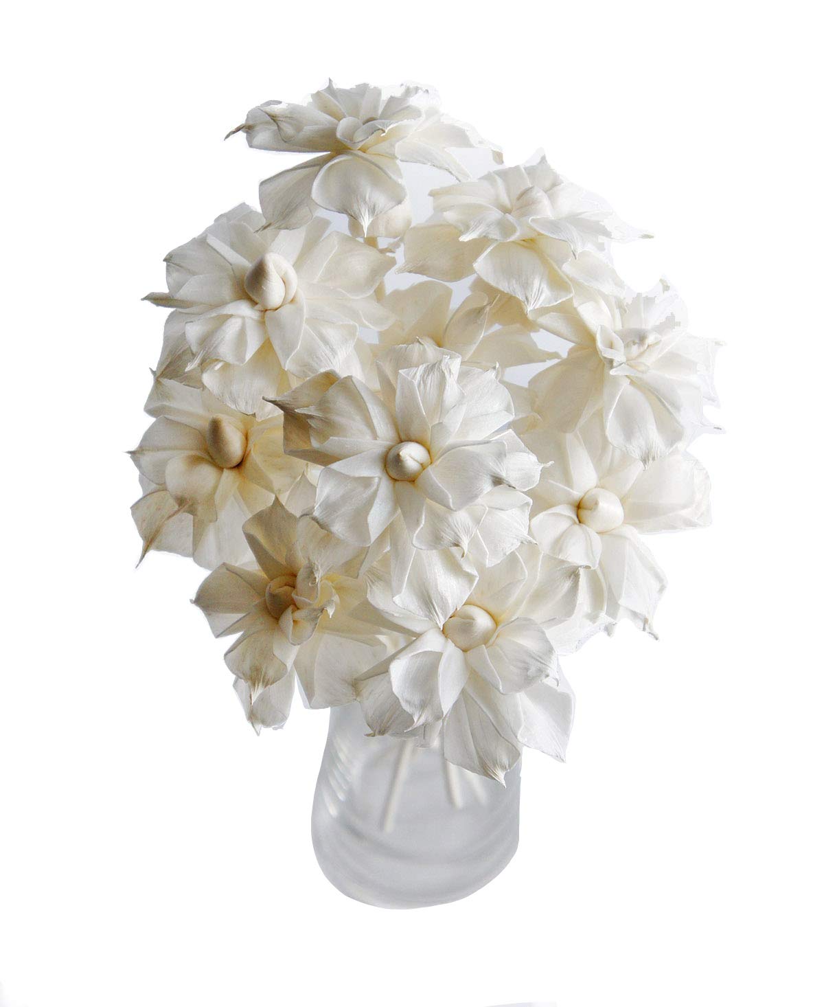 10 Sola Flower Reed Diffuser for Natural Home Fragrance