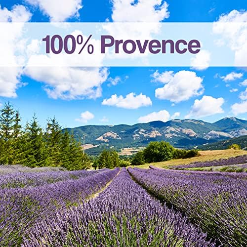2024 Harvest Lavender Sachets - 12 Organic Dried Provence Lavender