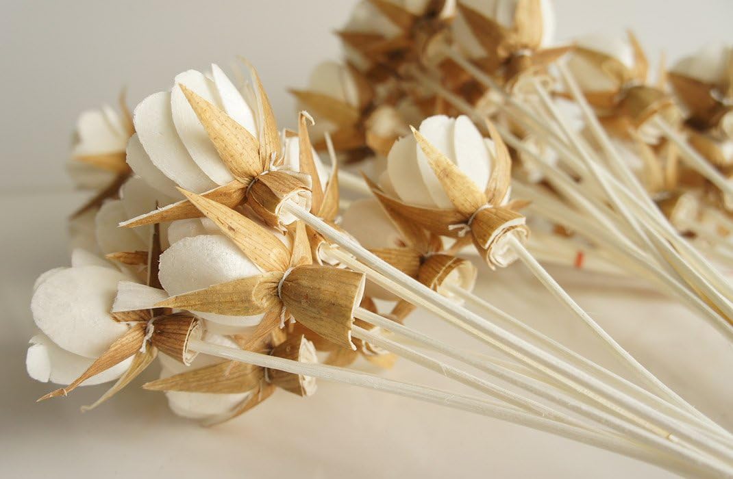 50 Rose Sola Flower Diffuser for Home Fragrance