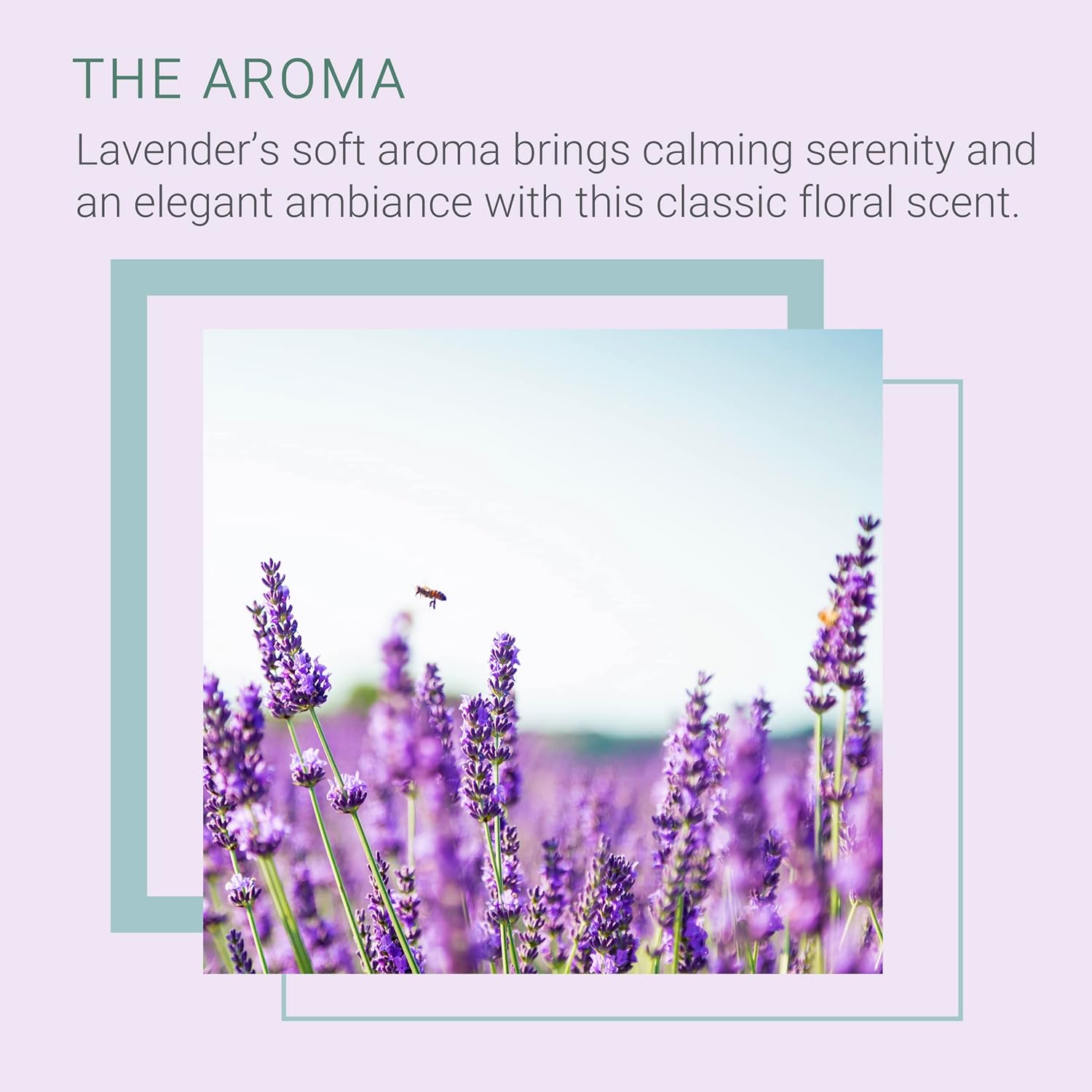 SpaRoom Reed Diffuser Oil Refill Lavender Scent 8oz