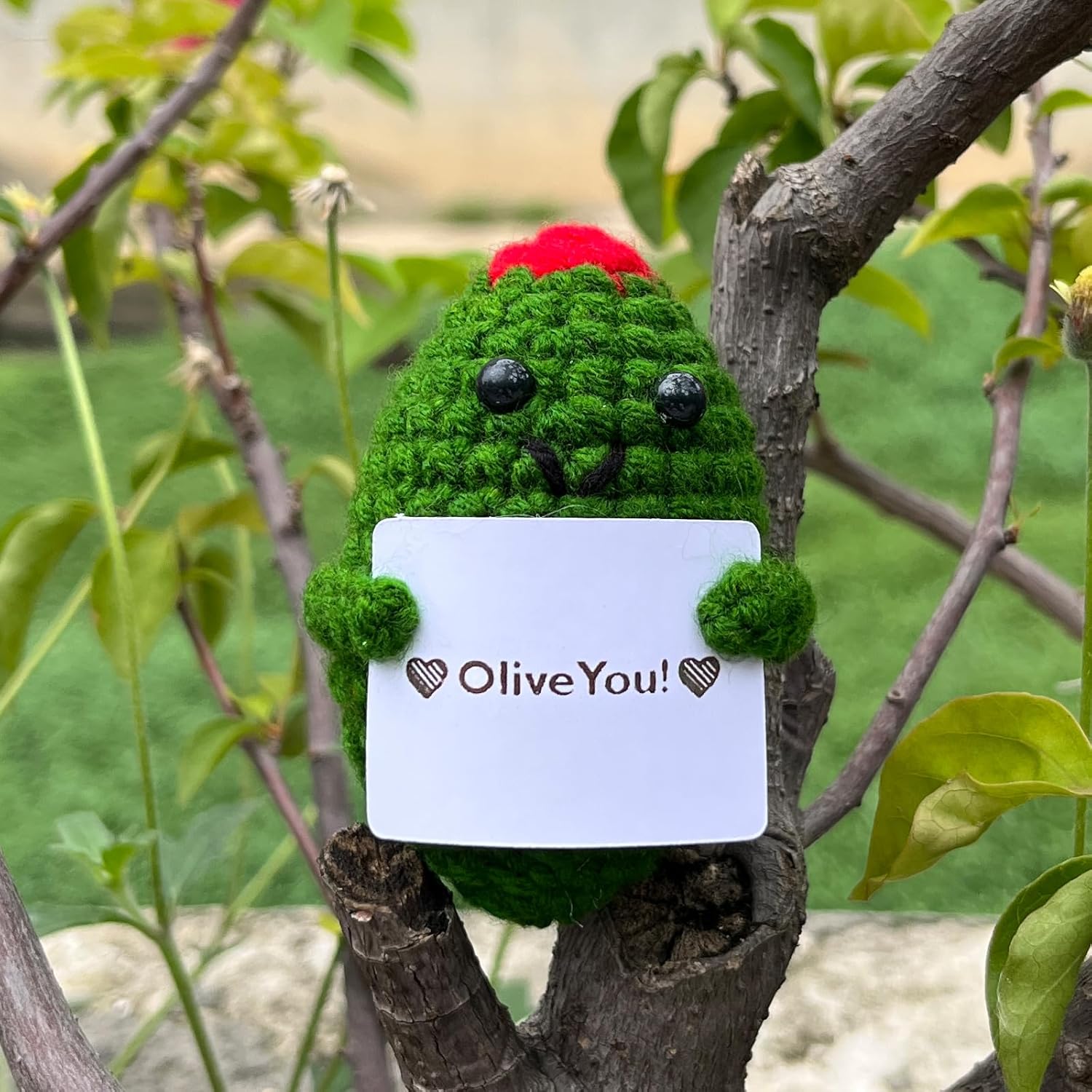 Emotional Support Olive Crochet Desk Decor