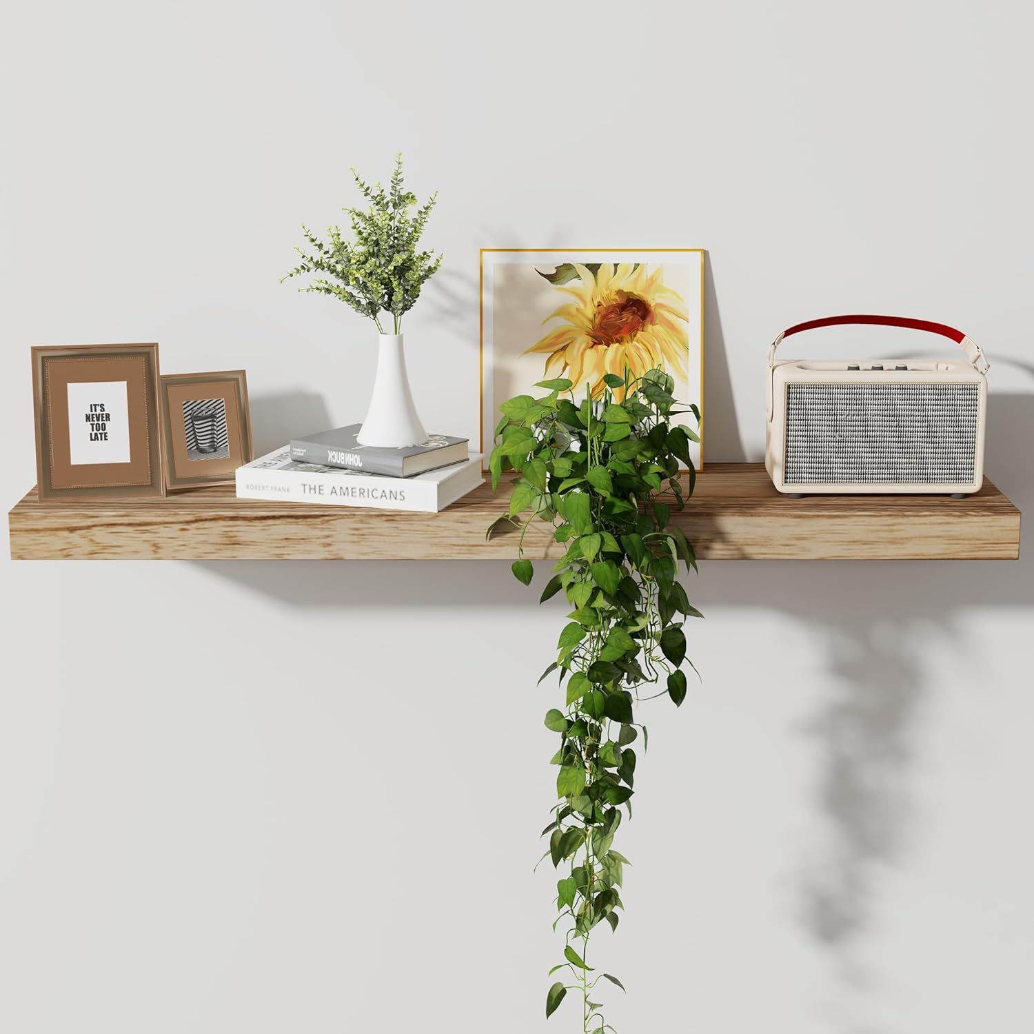 Axeman Floating Shelves 8 Inch Deep Modern Wall Shelves
