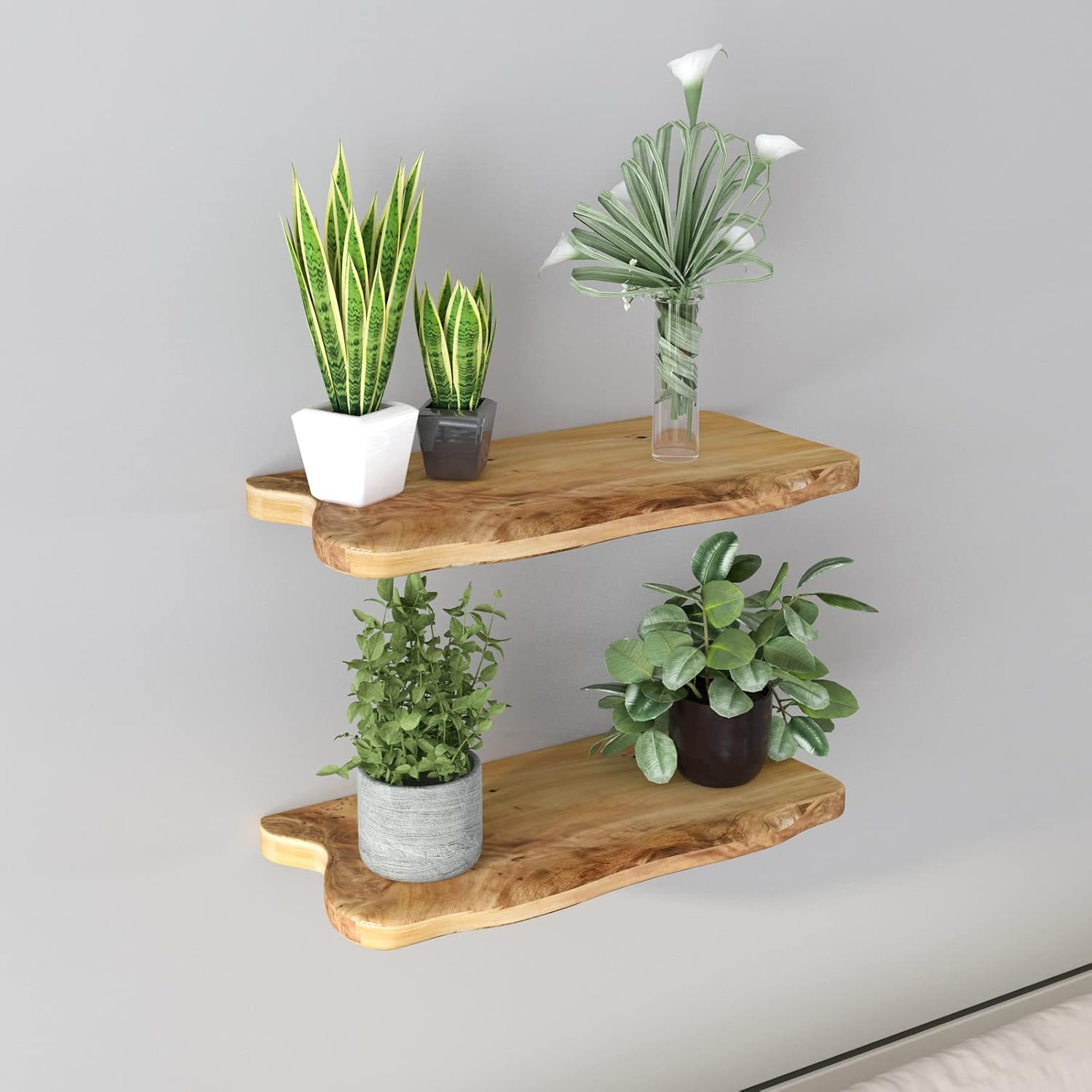 WELLAND 16 Inch Cedar Floating Shelf Set of 2