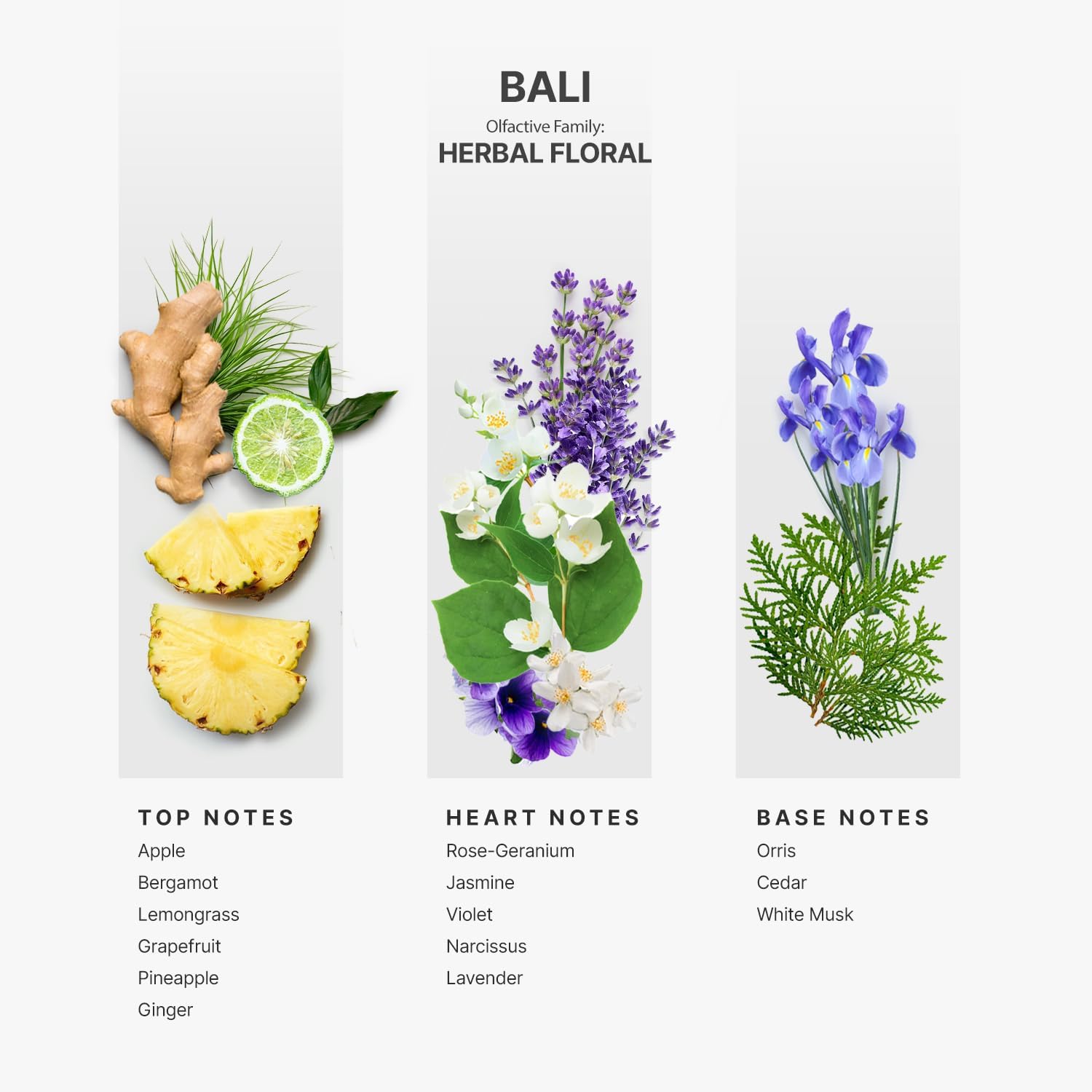 AROMAPLAN Bali Hotel Scent 5 Fl Oz Luxury Diffuser Oil
