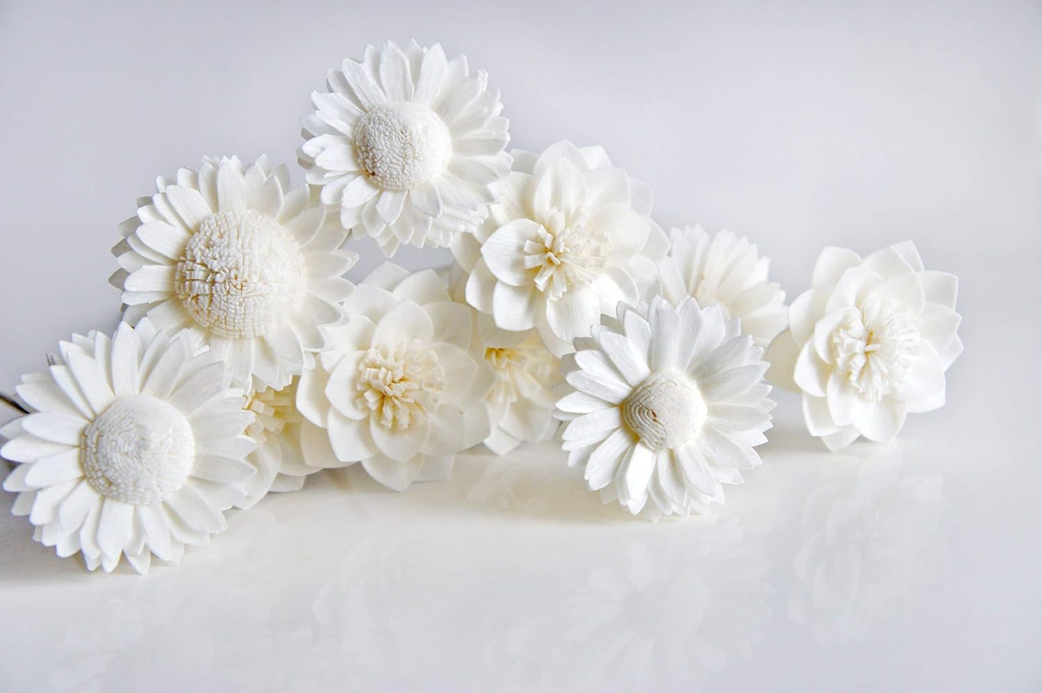 10 Mix Dahlia Daisy Sola Flower Reed Diffuser Set