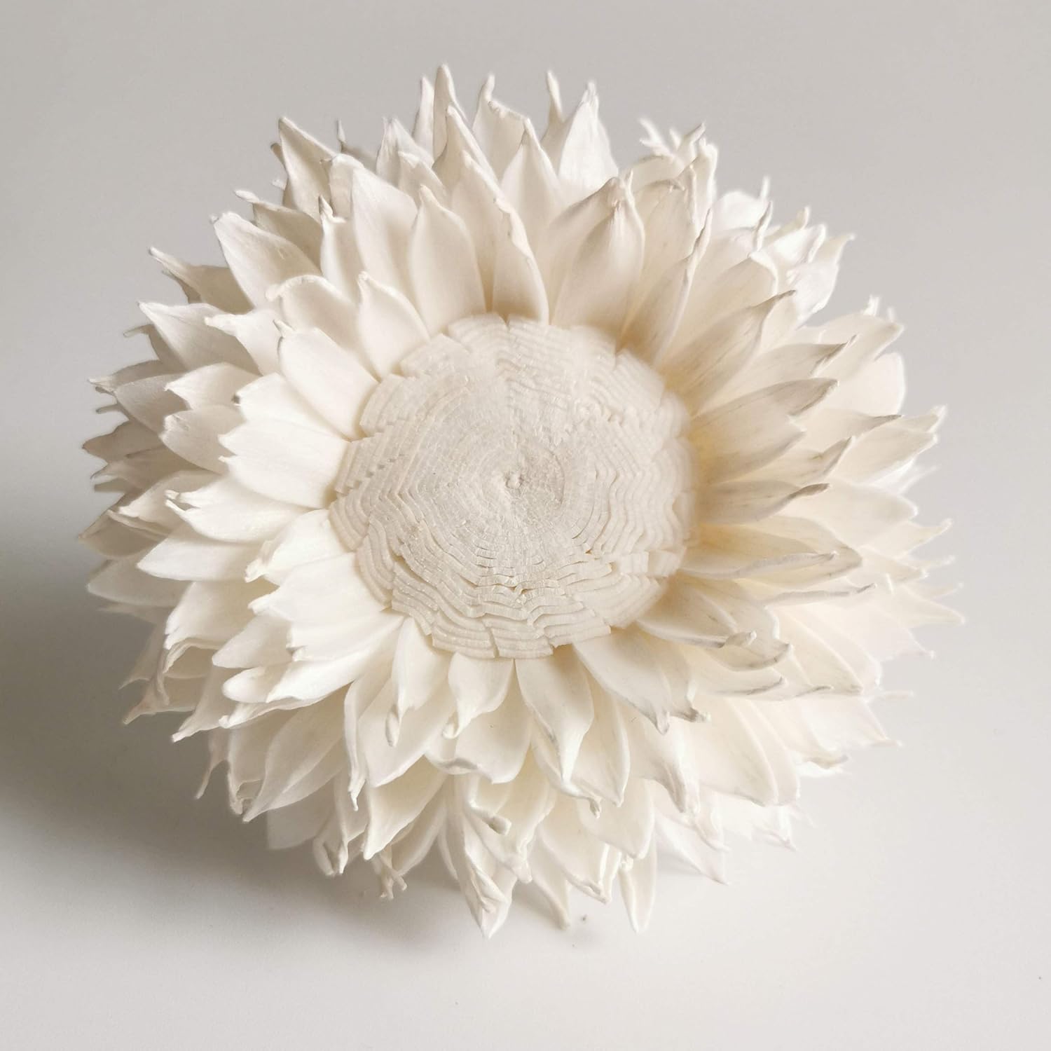 5 White Sunflower 3 Inch Reed Diffuser for Home Fragrance