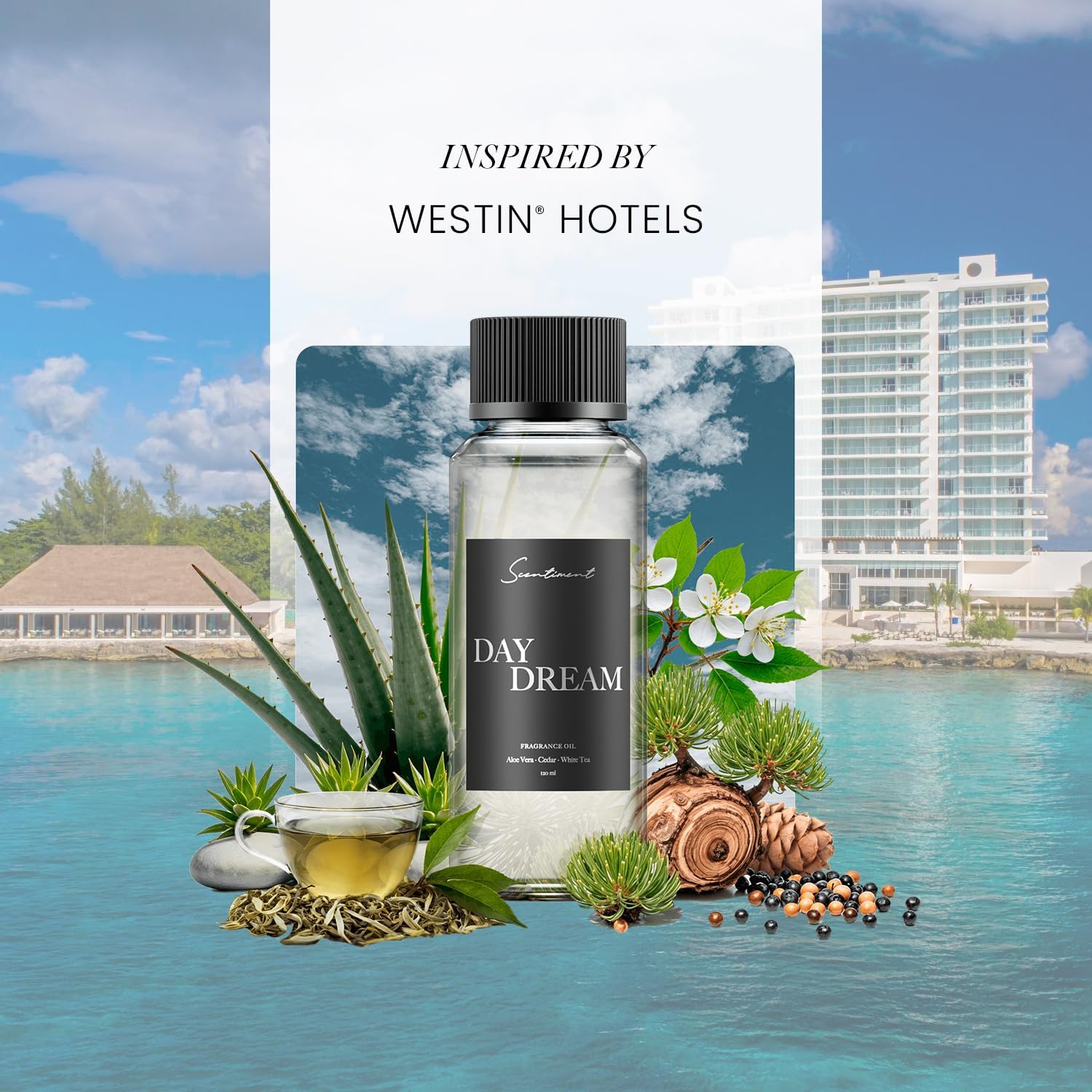 Day Dream Diffuser Oil - Luxurious White Tea Fragrance 500 mL