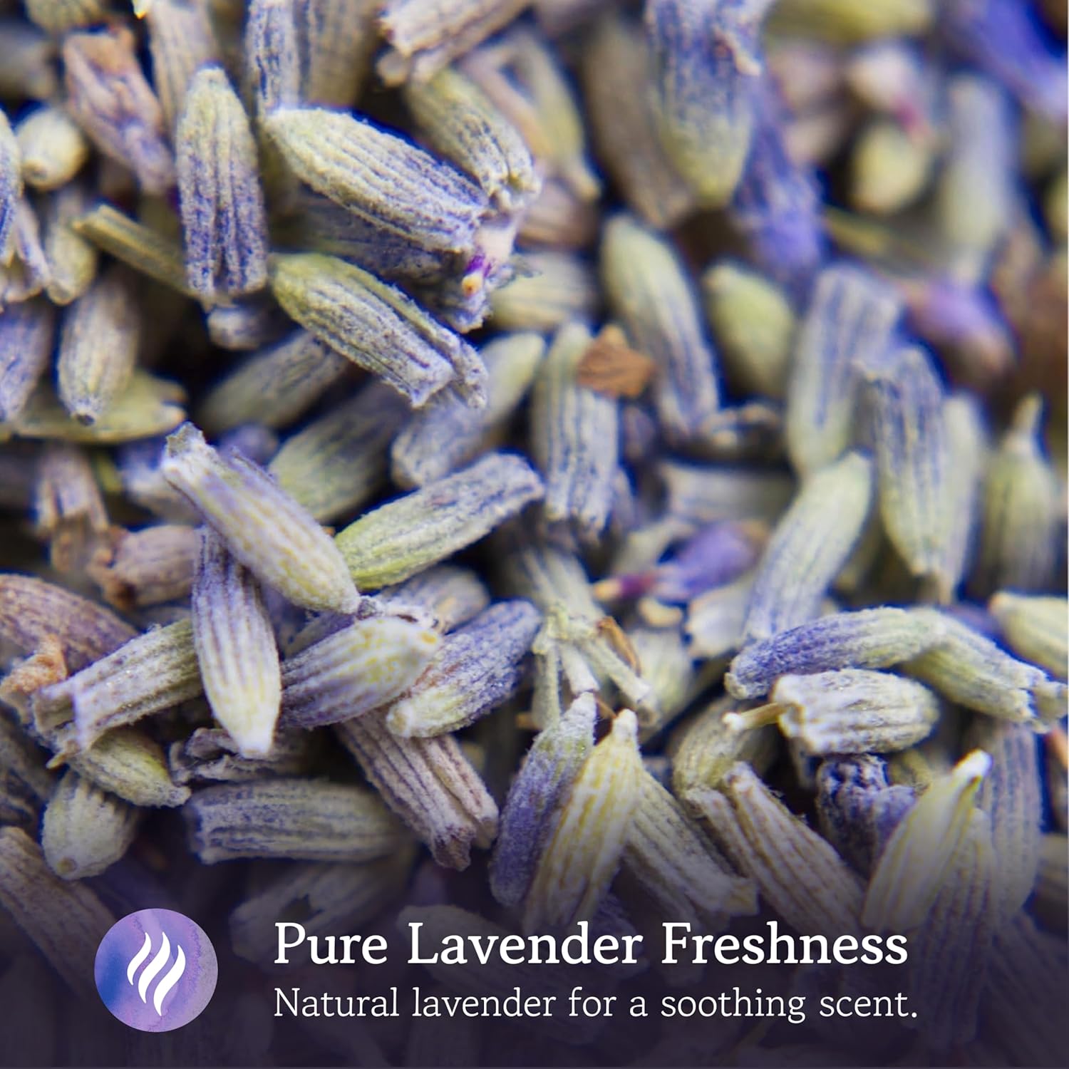 Lavender Sachets for Closets and Drawers - Pack of 20