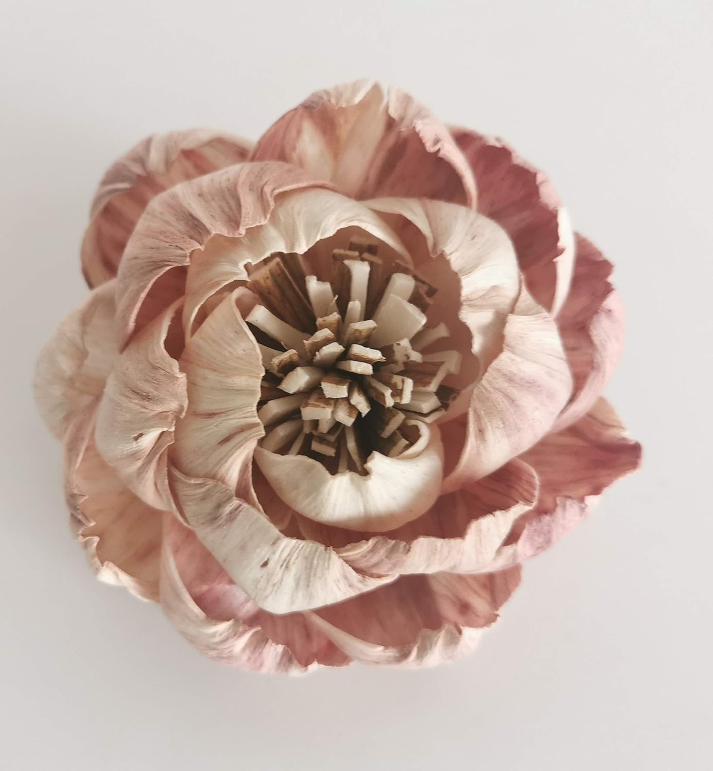 4 White Natural Peony Sola Flower Diffuser Set for Home Fragrance