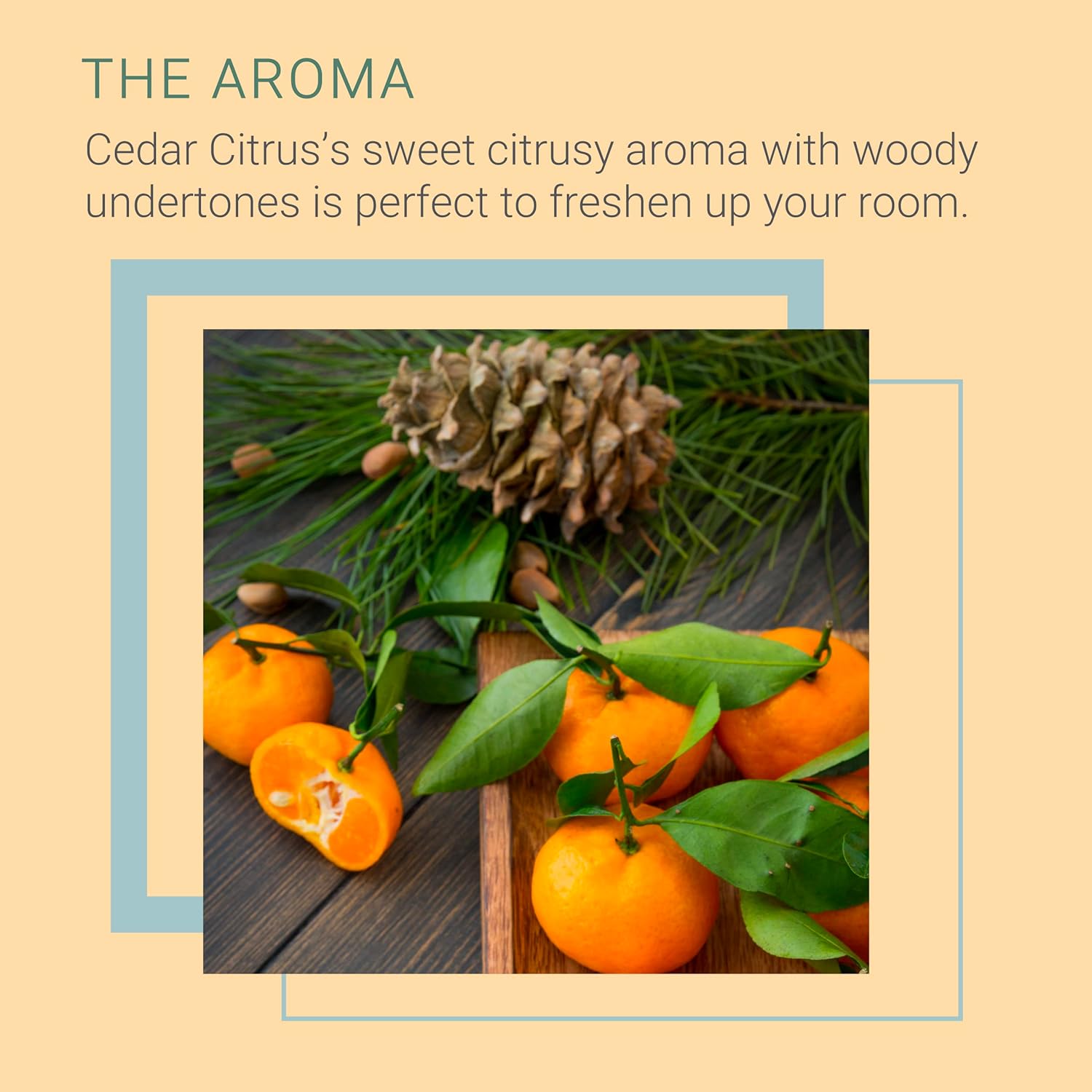 SpaRoom Reed Diffuser Oil Refill Cedar Citrus 8oz